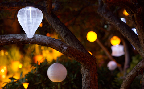 Paper lanterns as wedding venue decoration Paper lanterns hung in a tree
